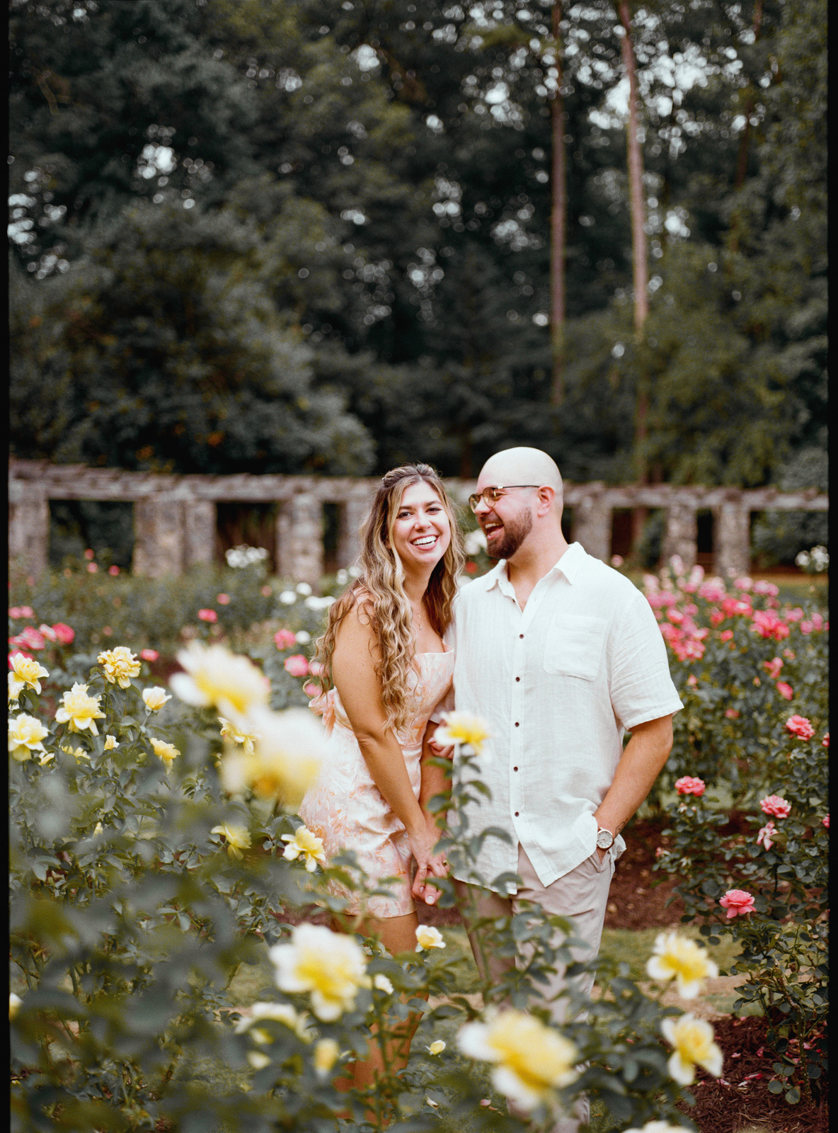 Framed by yellow roses in the foreground, both laughing at something off to the side.